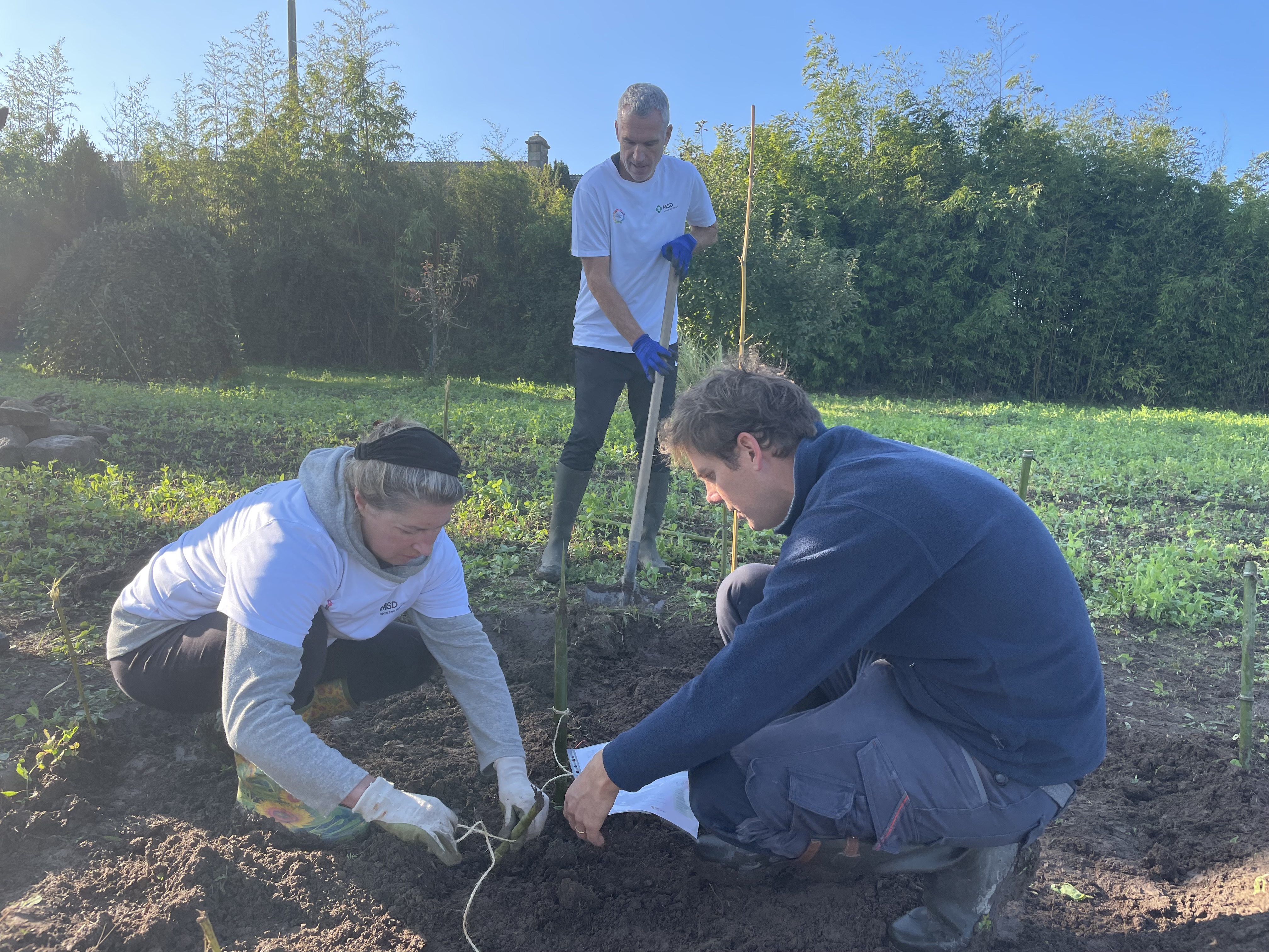 Collaborateurs lors d_une action de jardinage