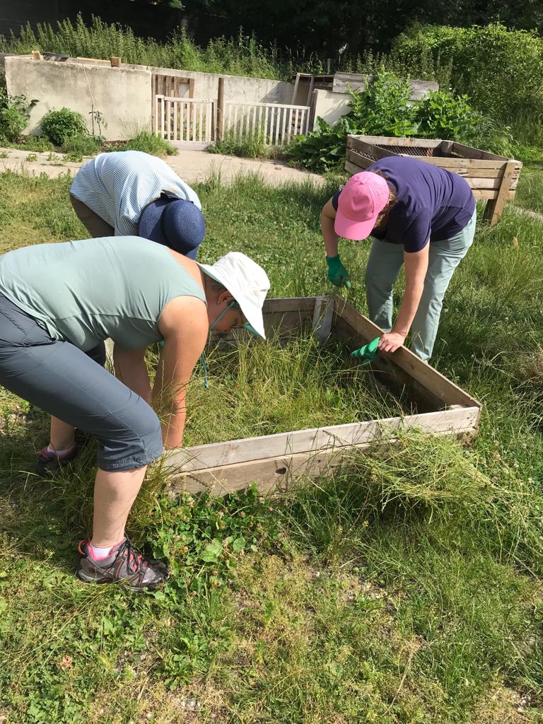 Collaborateurs lors d_une action de jardinage11