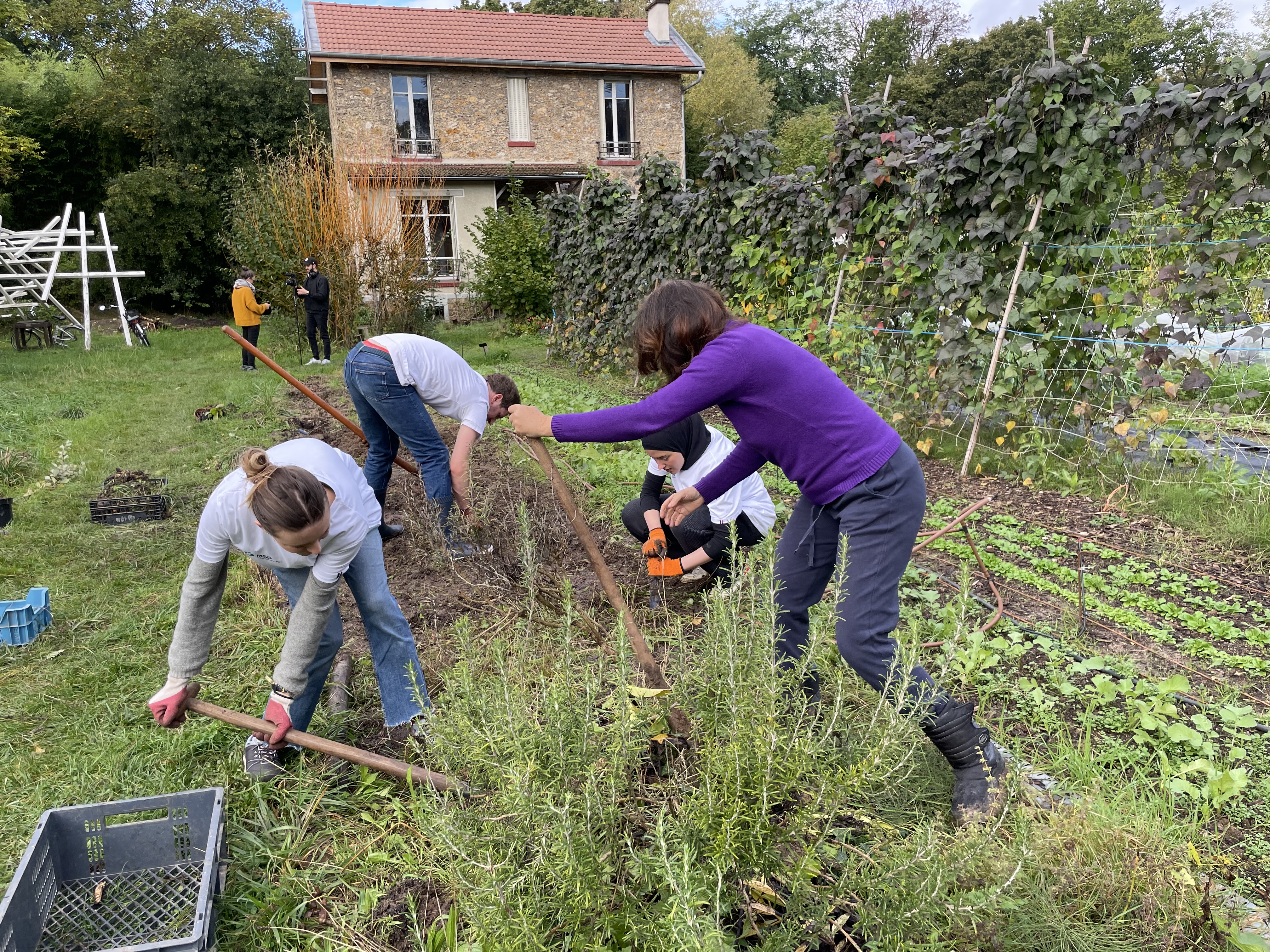 Collaborateurs lors d_une action de jardinage18