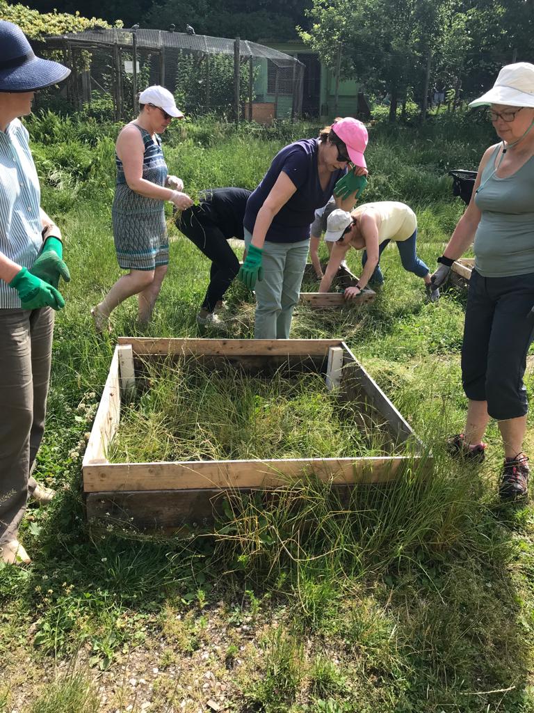 Collaboratrices lors d_une action de jardinage1