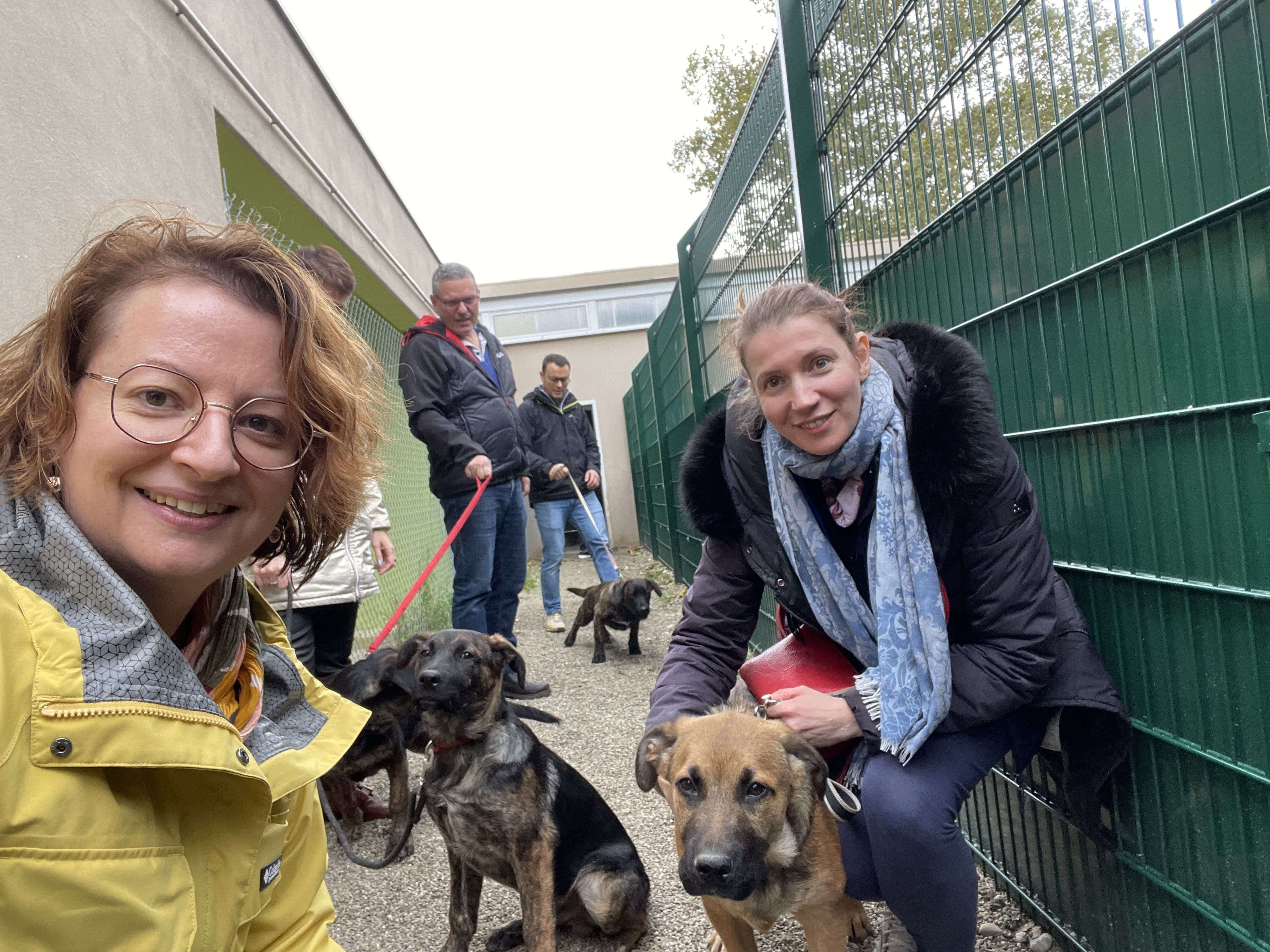 images/galerie_de_l_engagement/Collaborateurs avec des chiens de la SPA.jpg