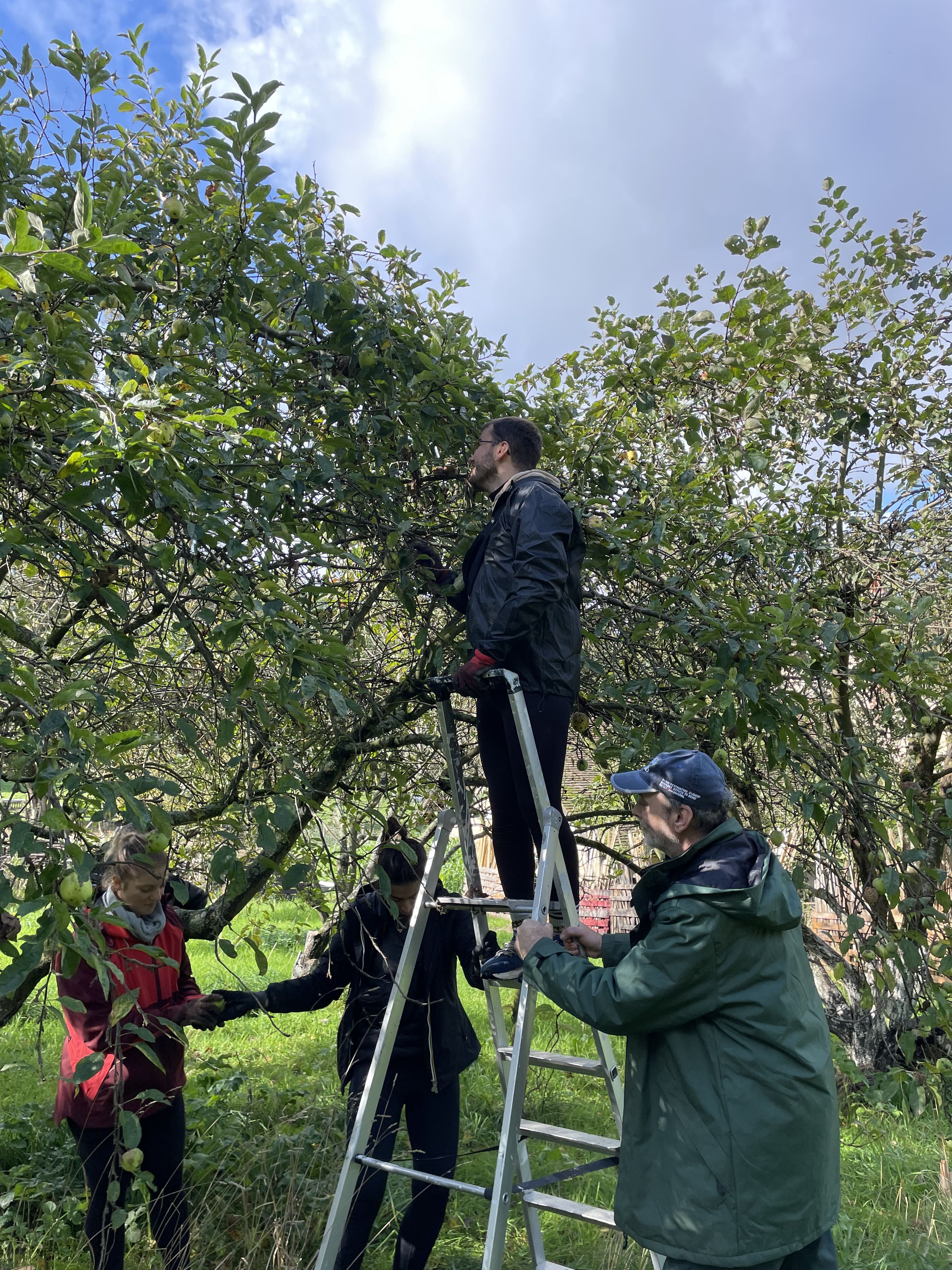 Collaborateurs lors d_une action de jardinage8
